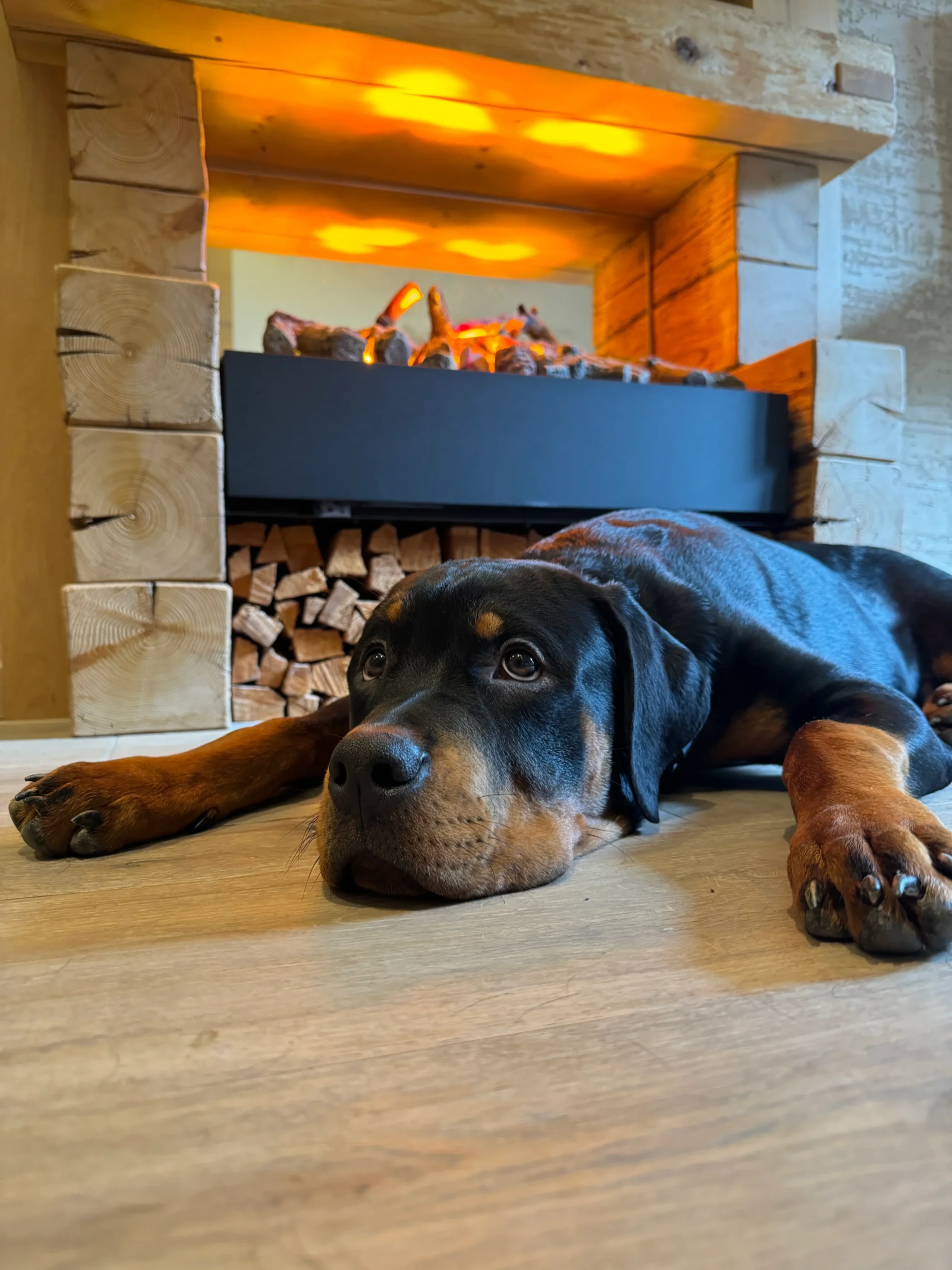Balu - Security